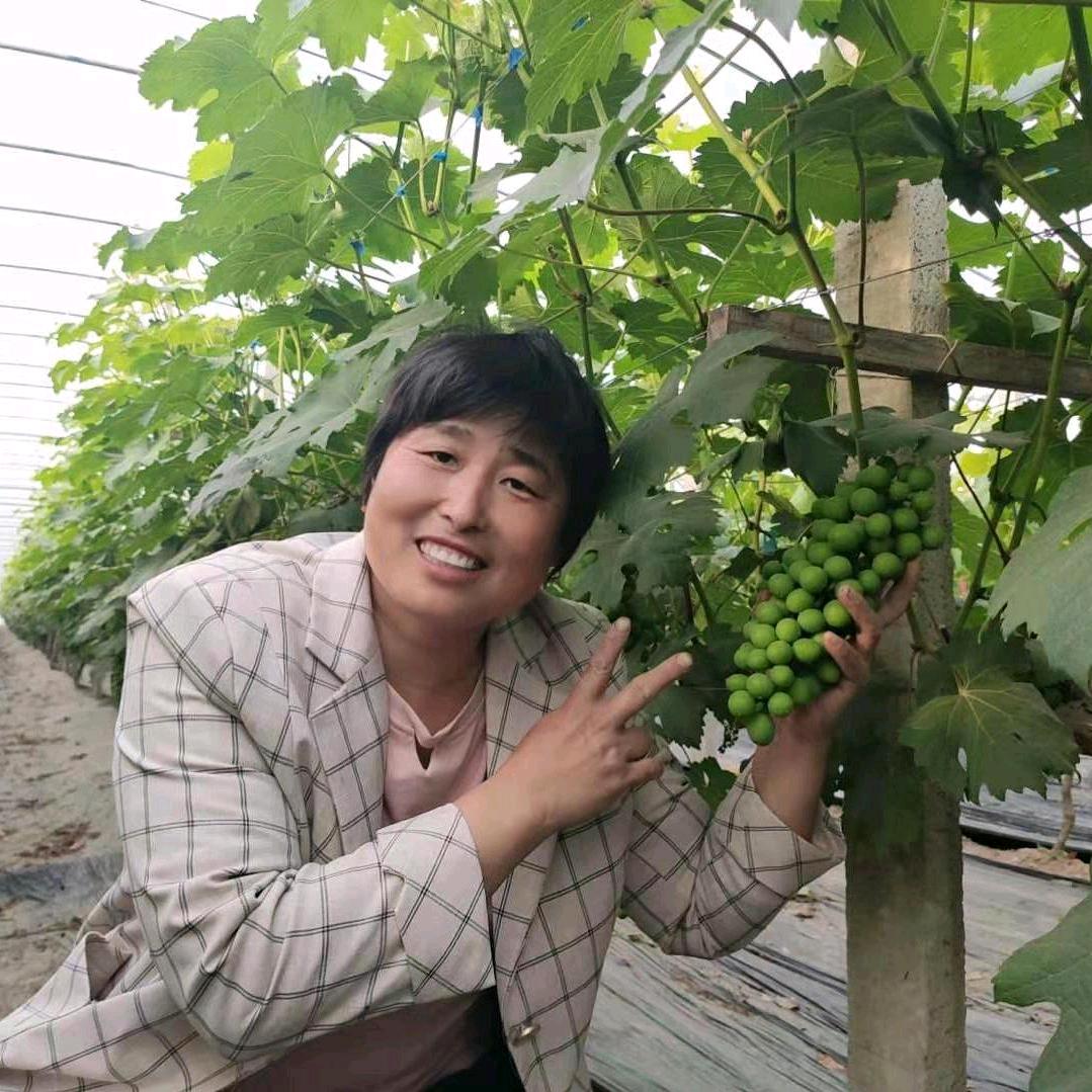天天有个好心情