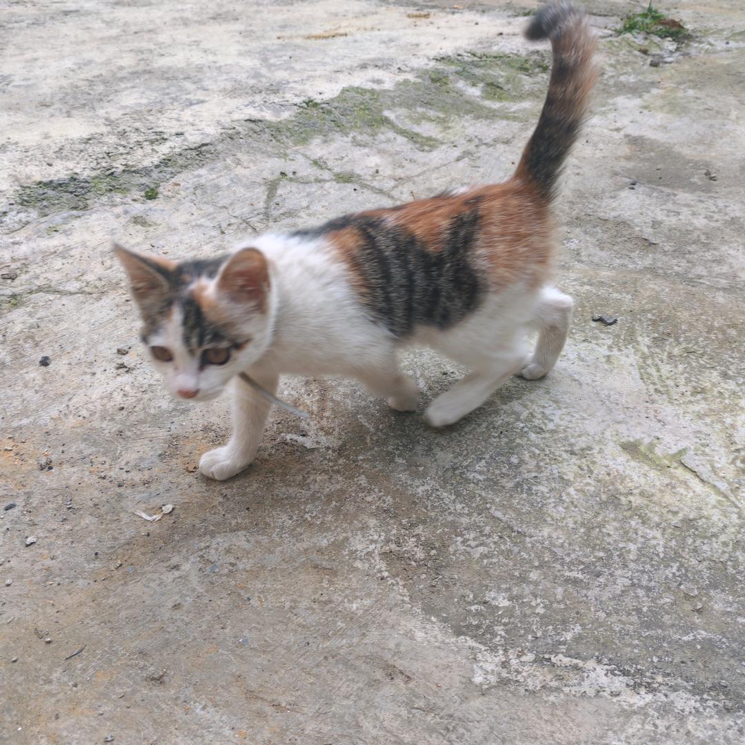 ༼༂人间꯭壹ʶ凡夫꧉ིྀ