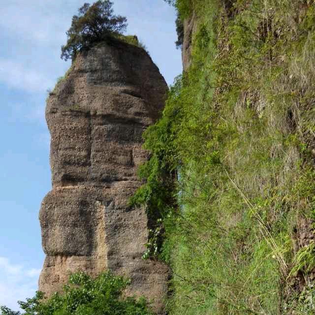 你大爷