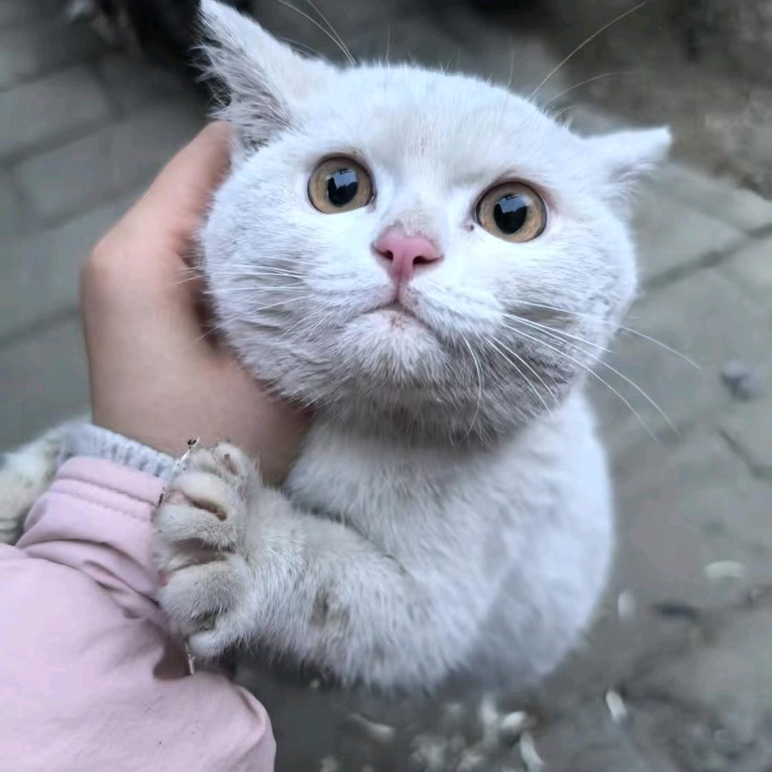 111