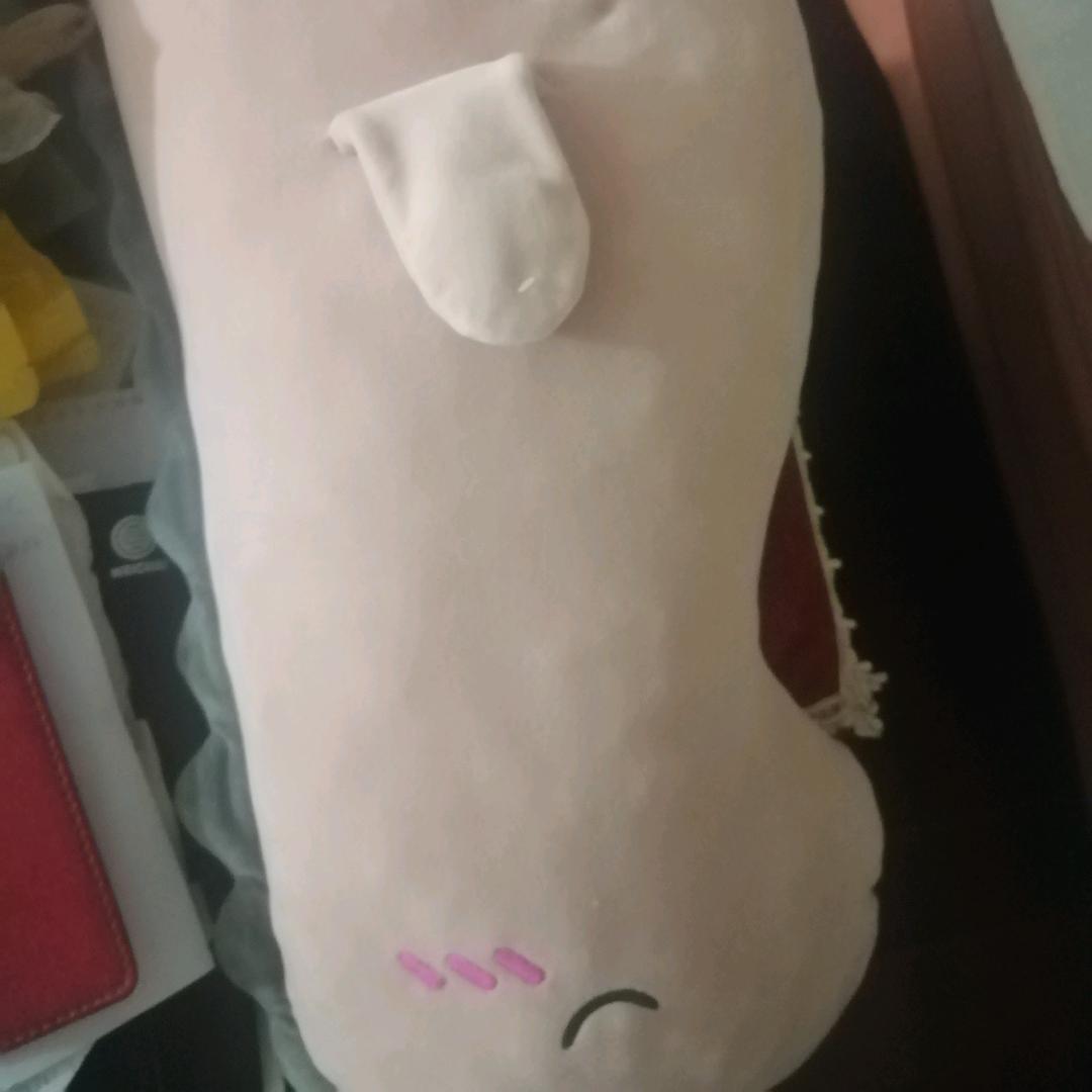 笨女人2