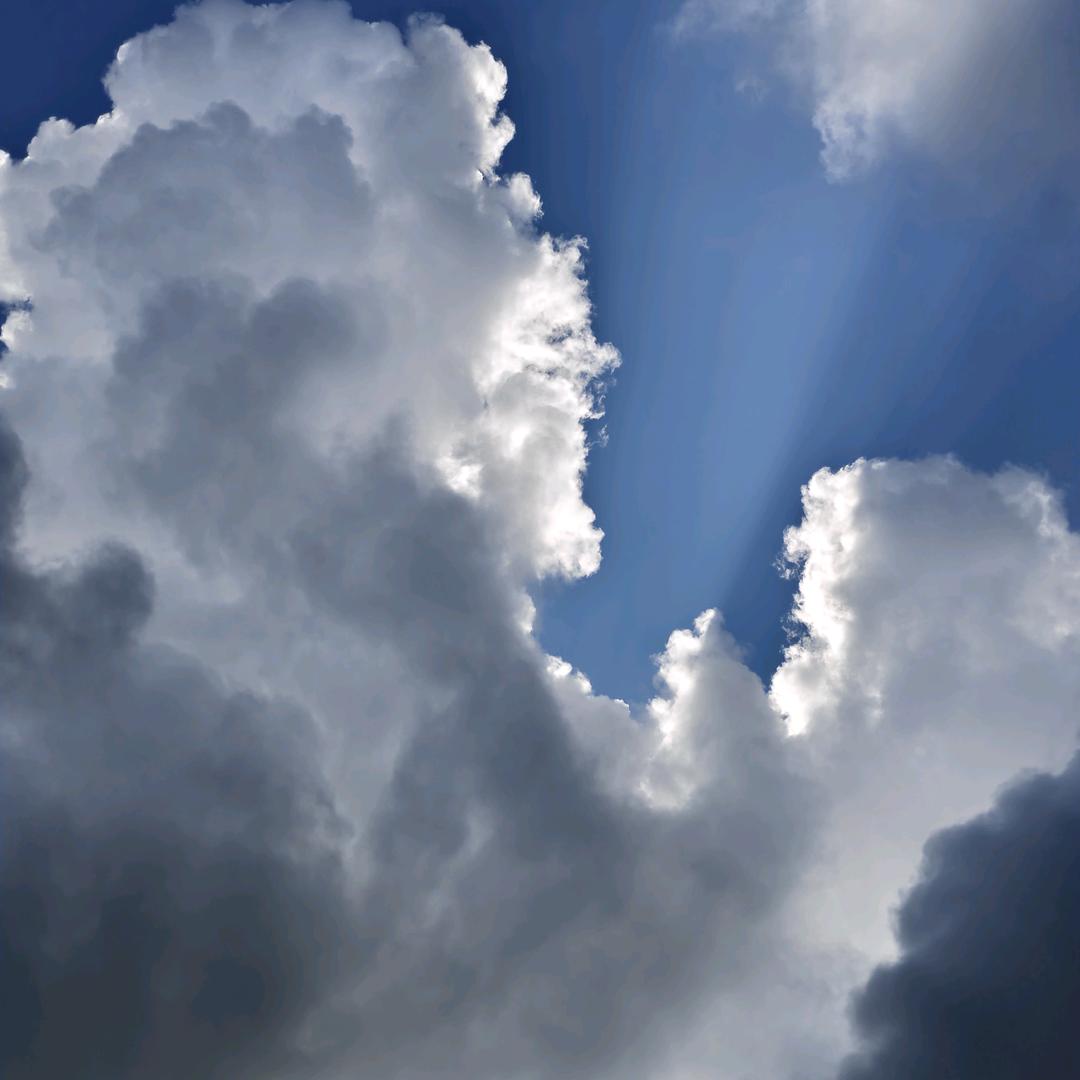 一品鲜鲜鲜鲜酱油