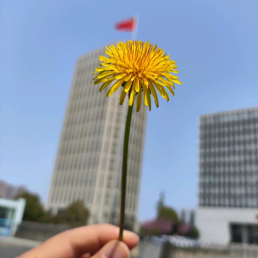 一介俗人