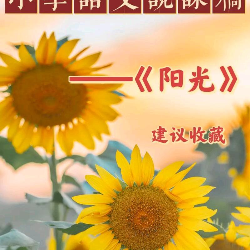 阳光短剧