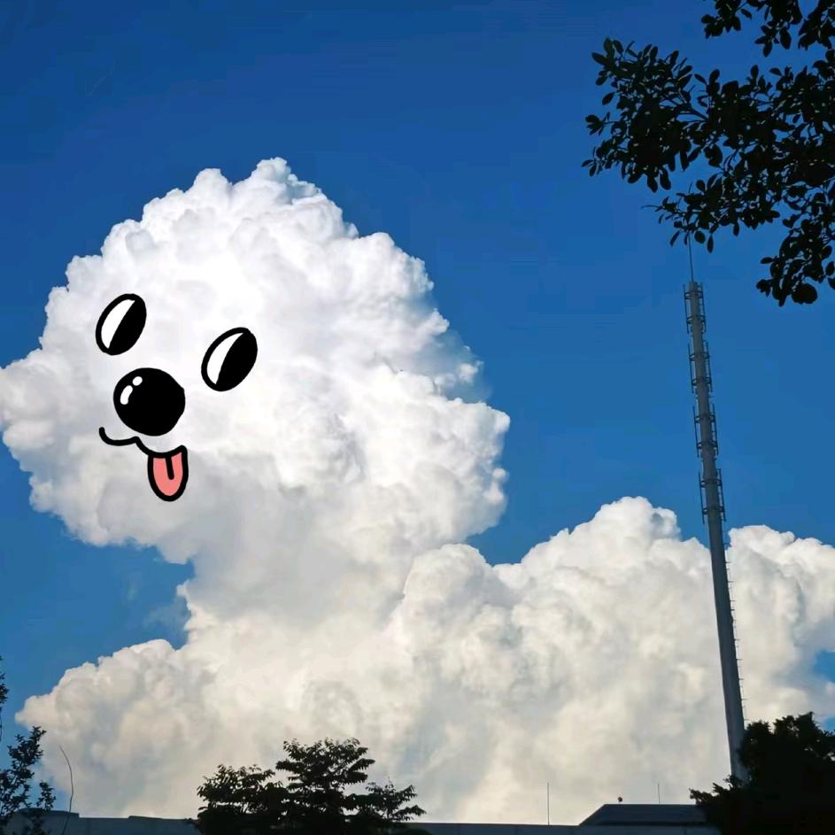 小蘑菇好物分享