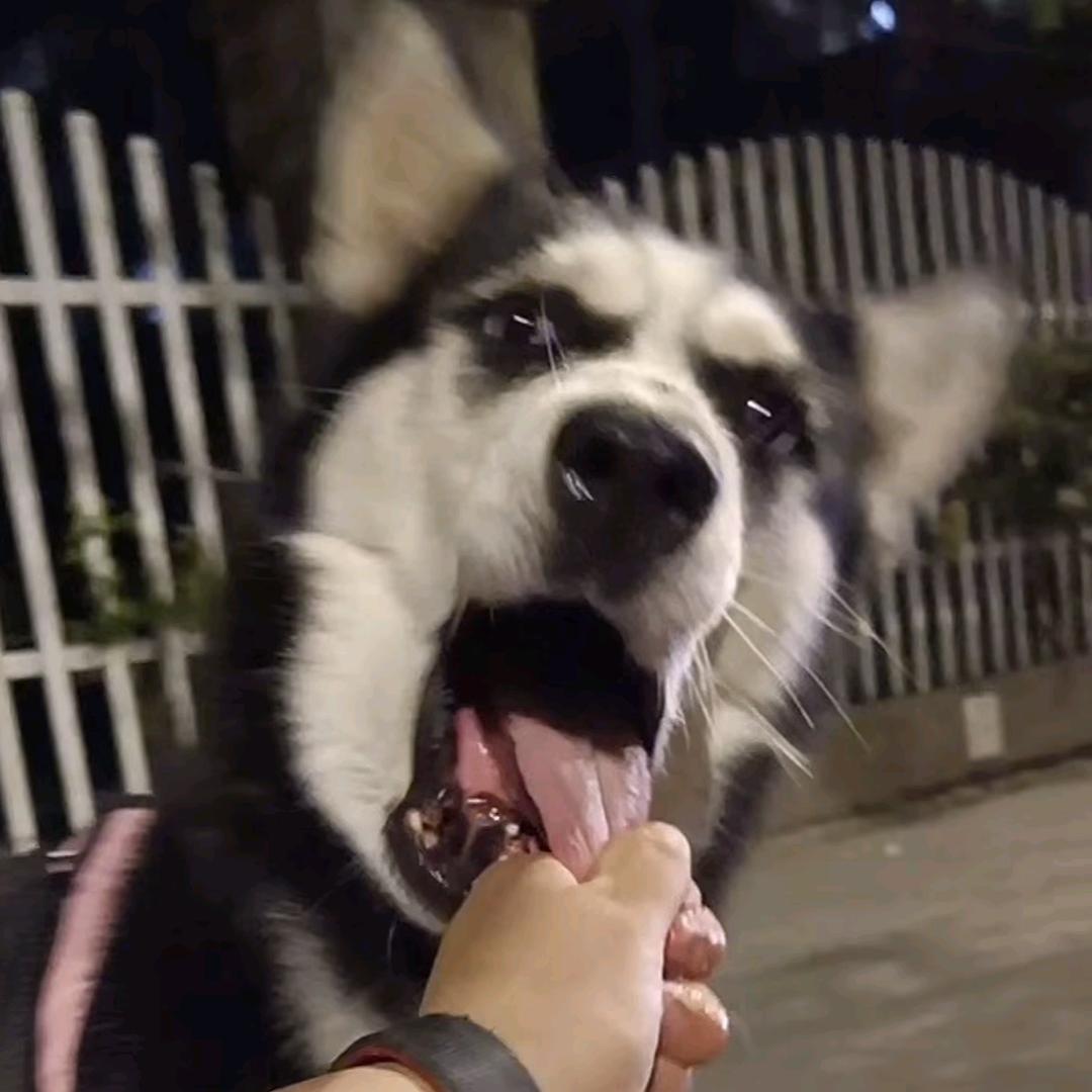 刀姬（三角洲行动）