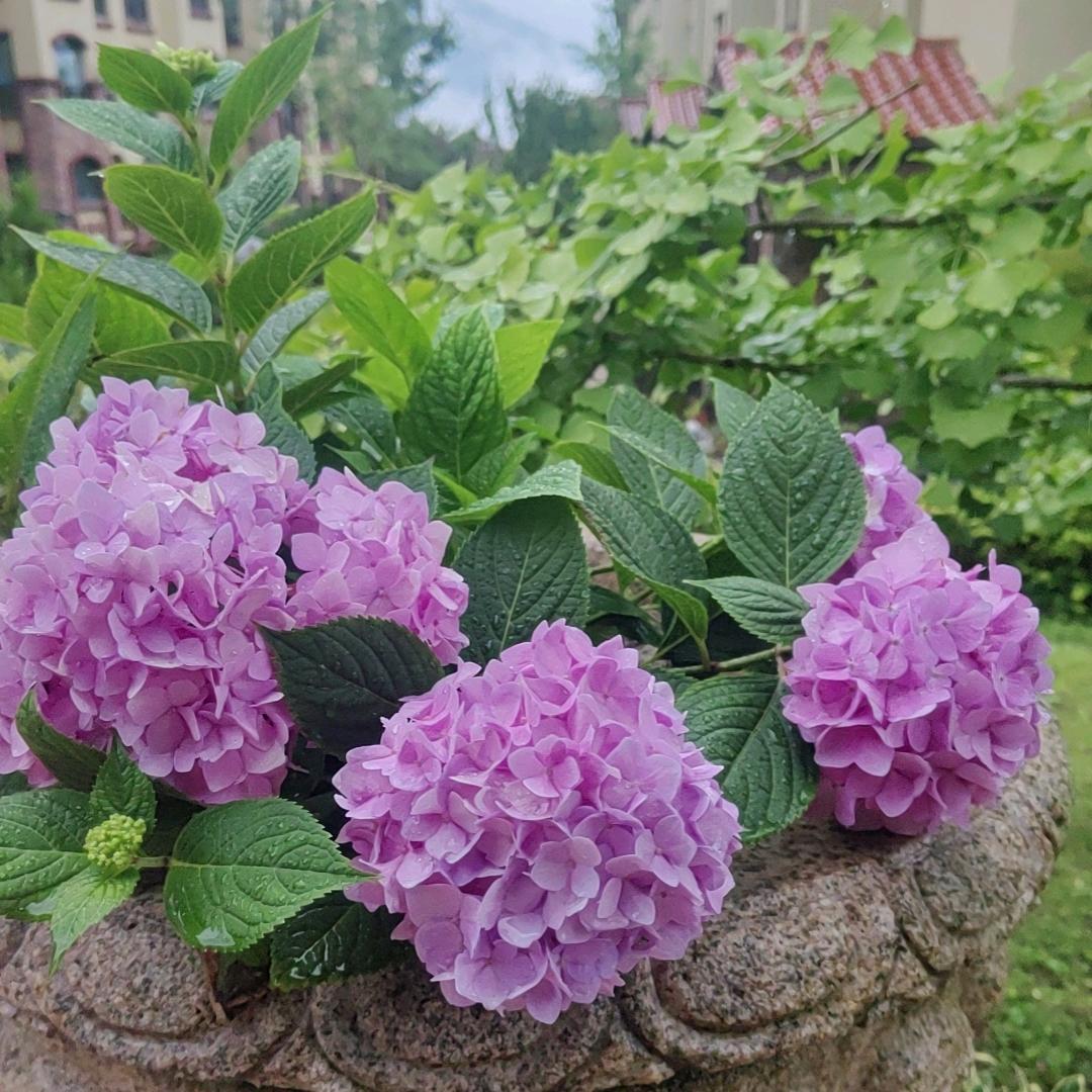 @🍀᭄余生᭄随心💞: 🍂ಢ᭄余生ල