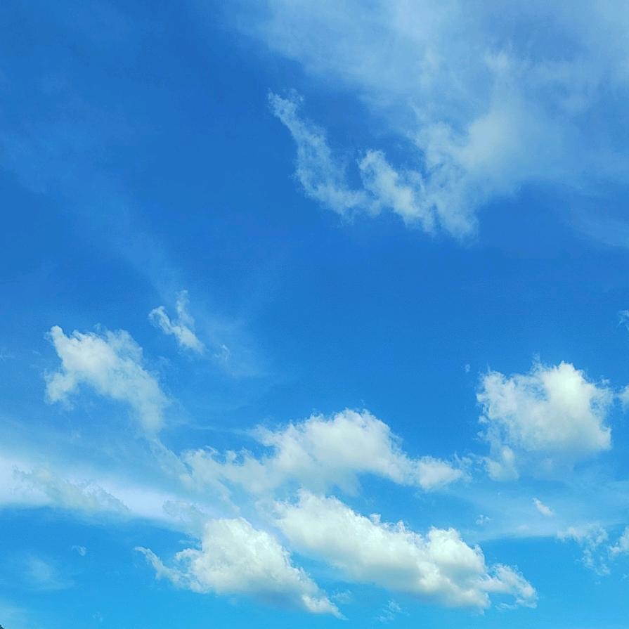 O泡