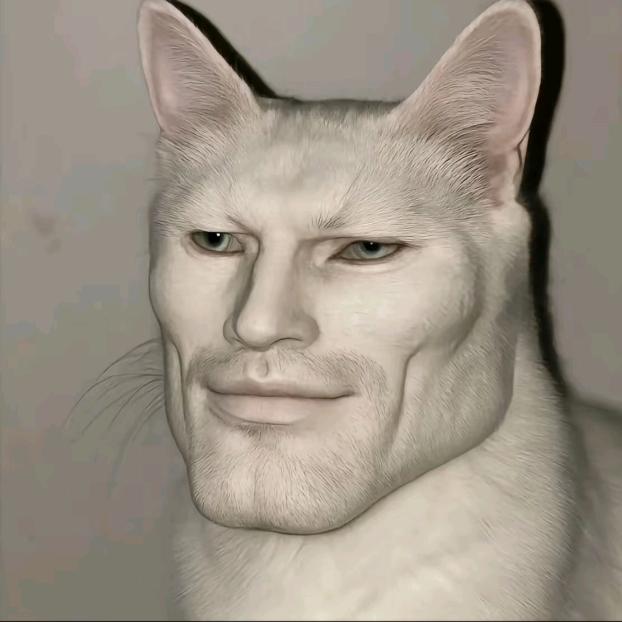 耔雾.
