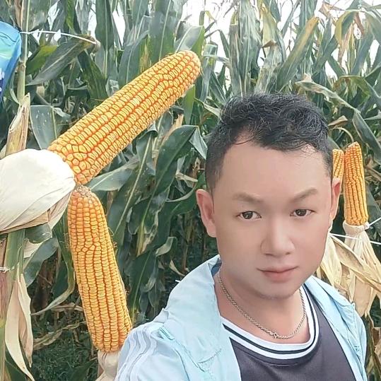 德隆种业小罗