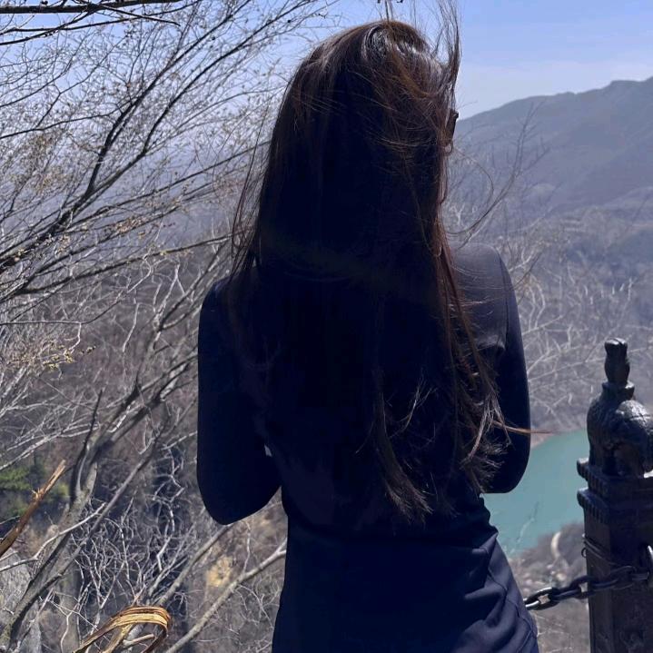柳 ༼菇 凉  🌸