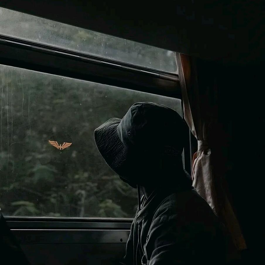 山满雾.