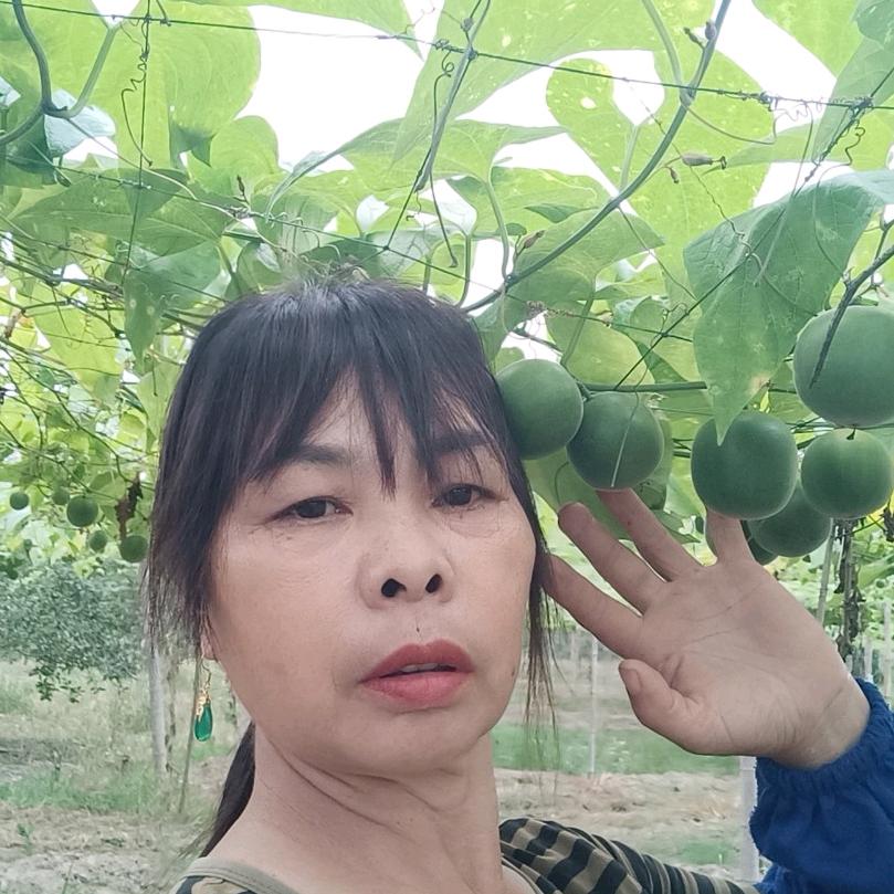 惠慈音！！！！！