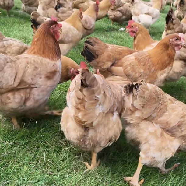 官渡百货好货市集