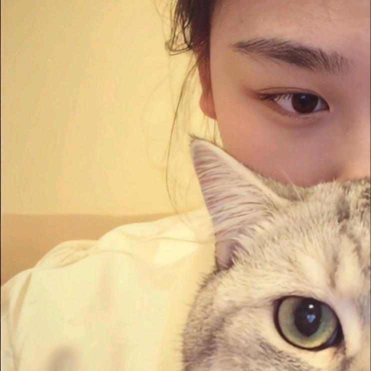 高冷美女
