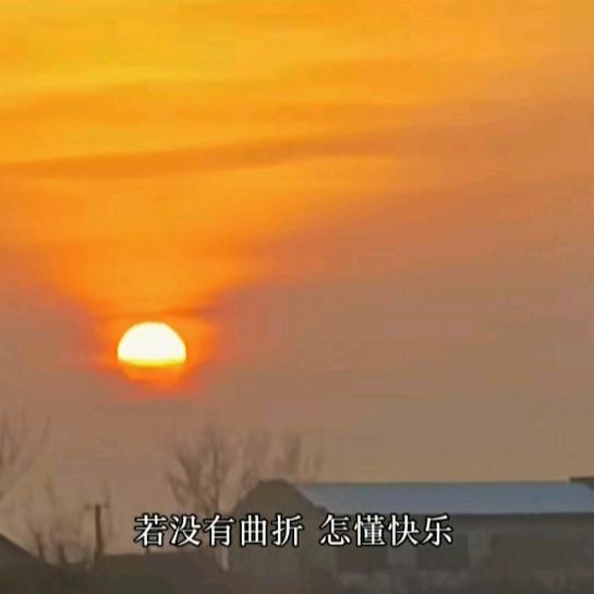 🎋拾🍃～光🌈🌷