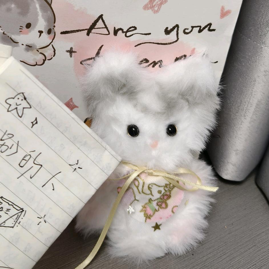 理想盒🔮（接🥚版）