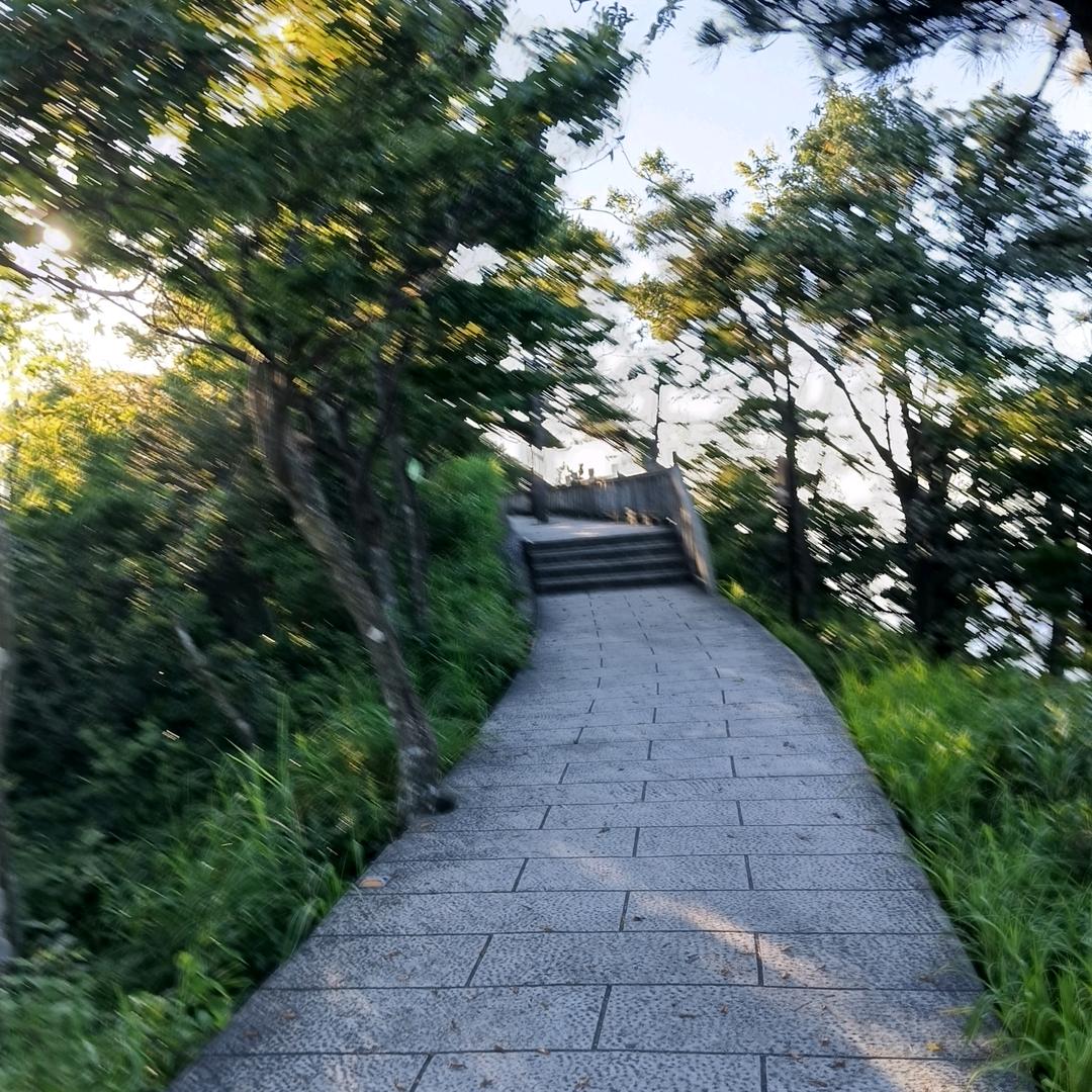 张甄甄百货超市