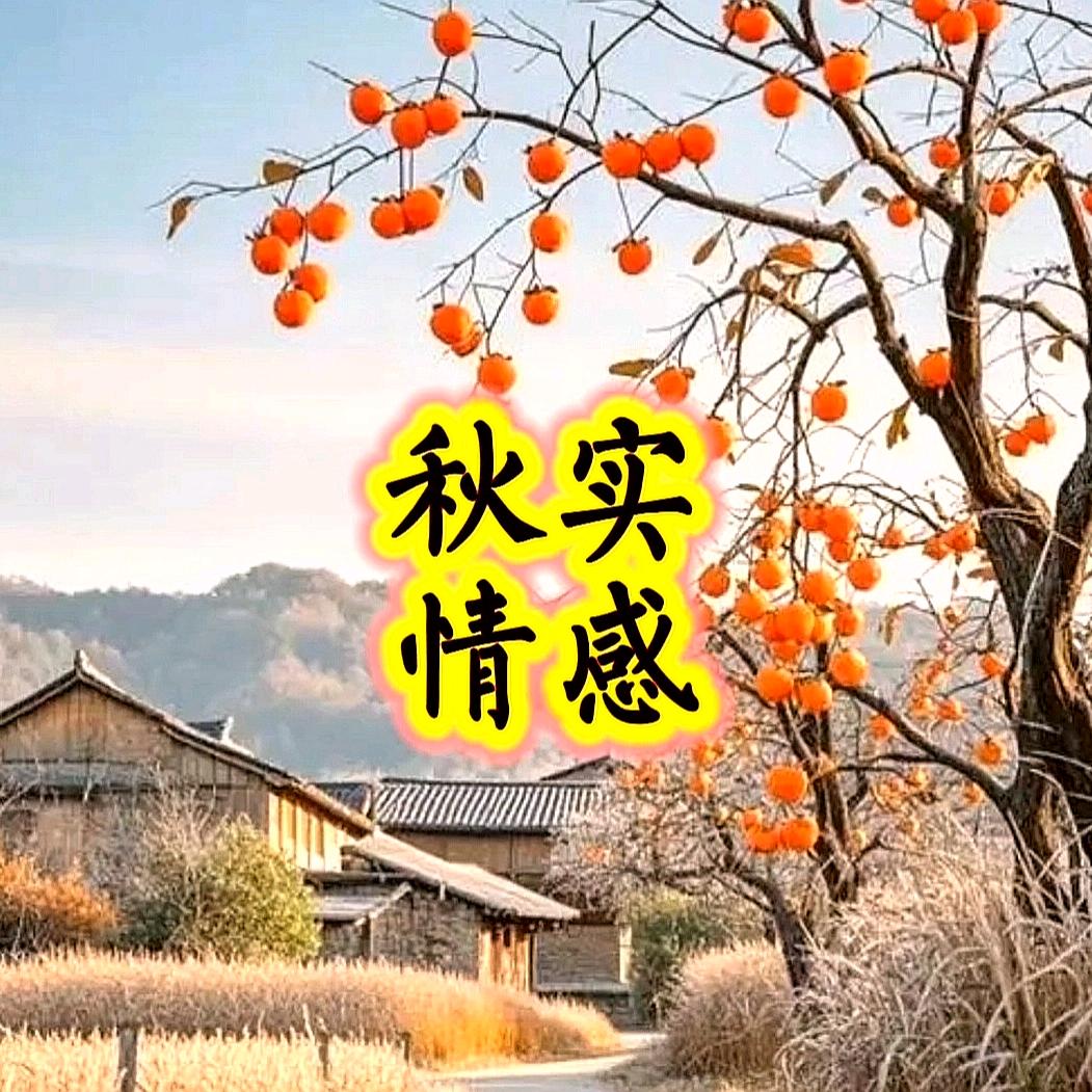 秋实情感