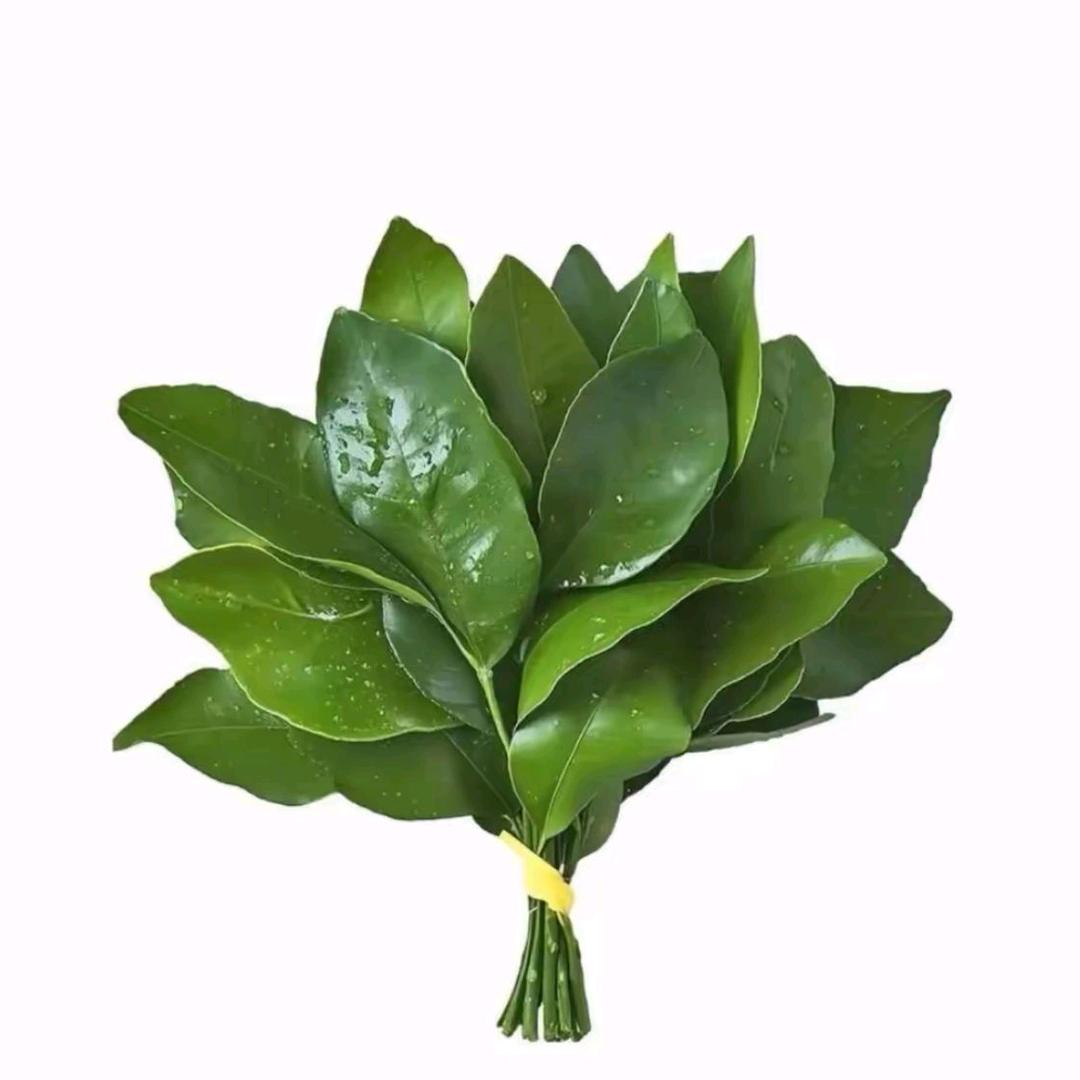 单曲