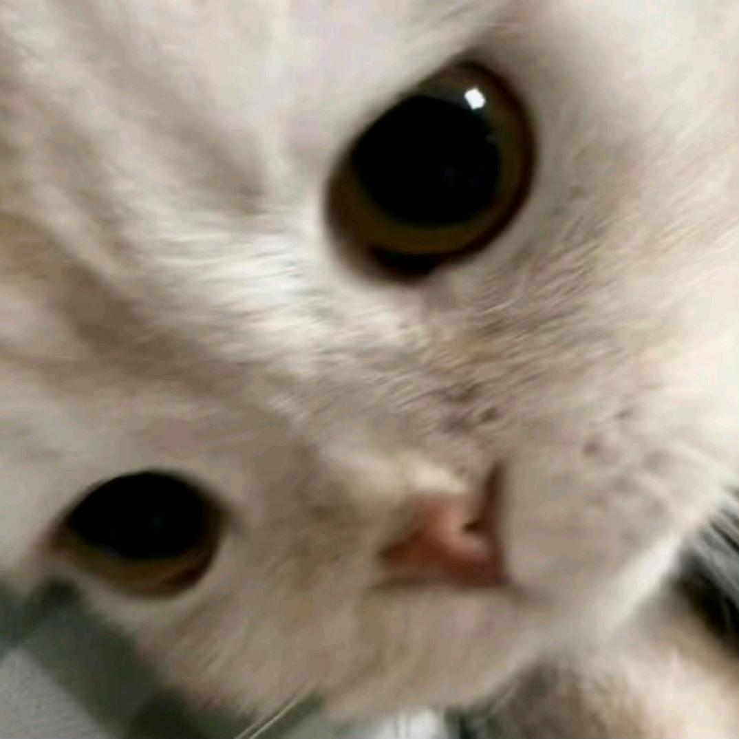 屁股上抹生发剂，时尚潮流接地气