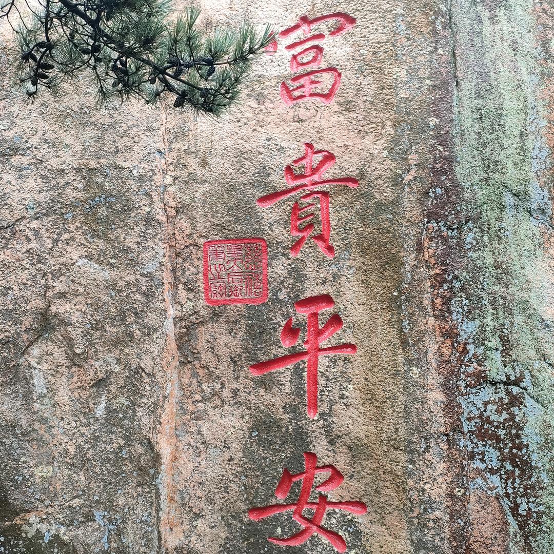 东阿阿胶Qm