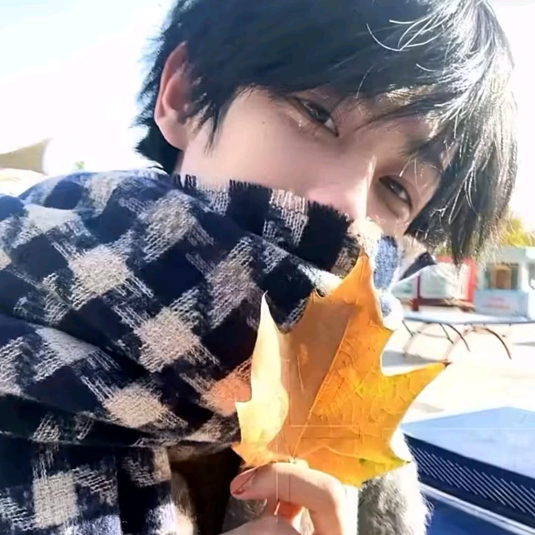 万森.
