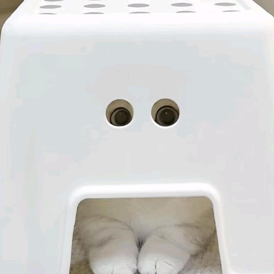 一叶之秋