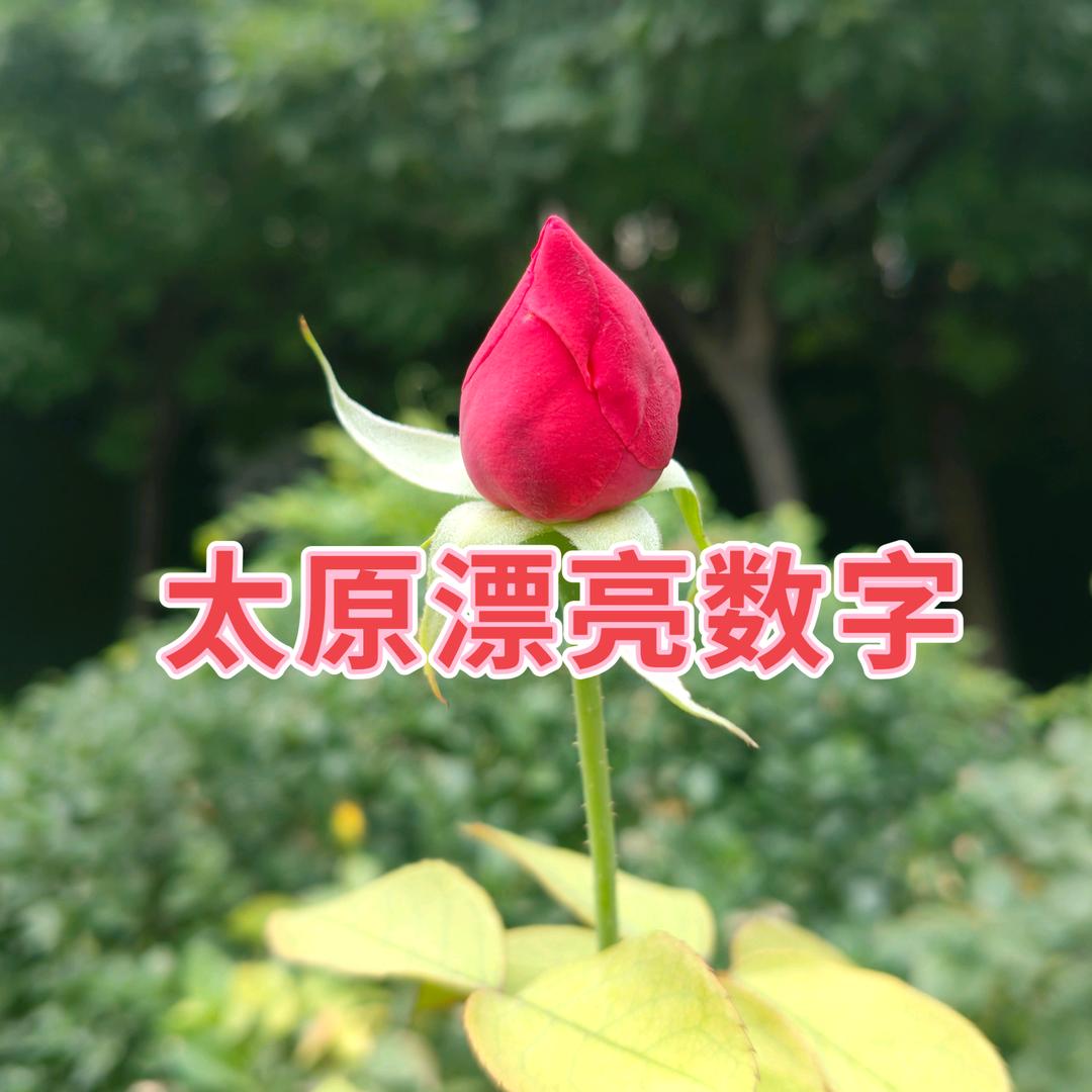 hao16636111888