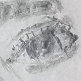 阿林