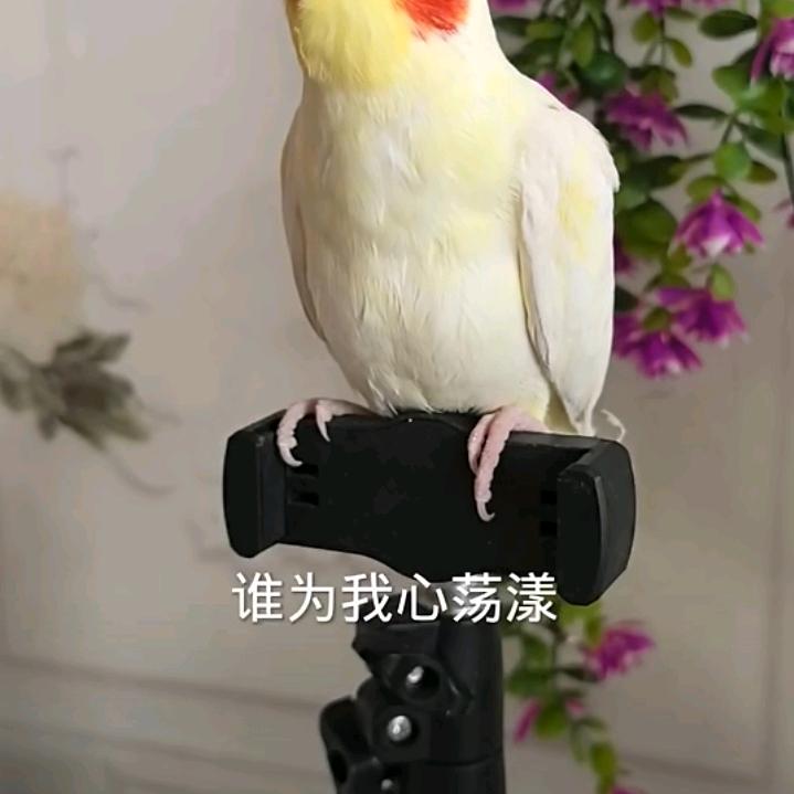 爱一个人好难