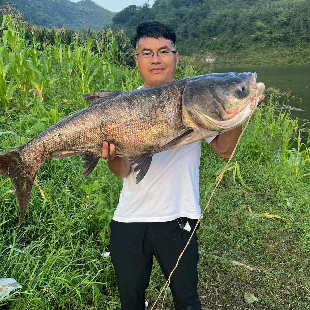 鱼你相遇