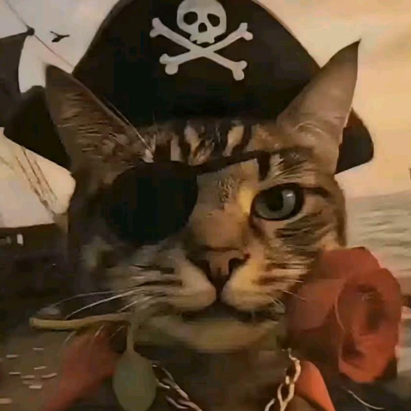 今天开始努力川