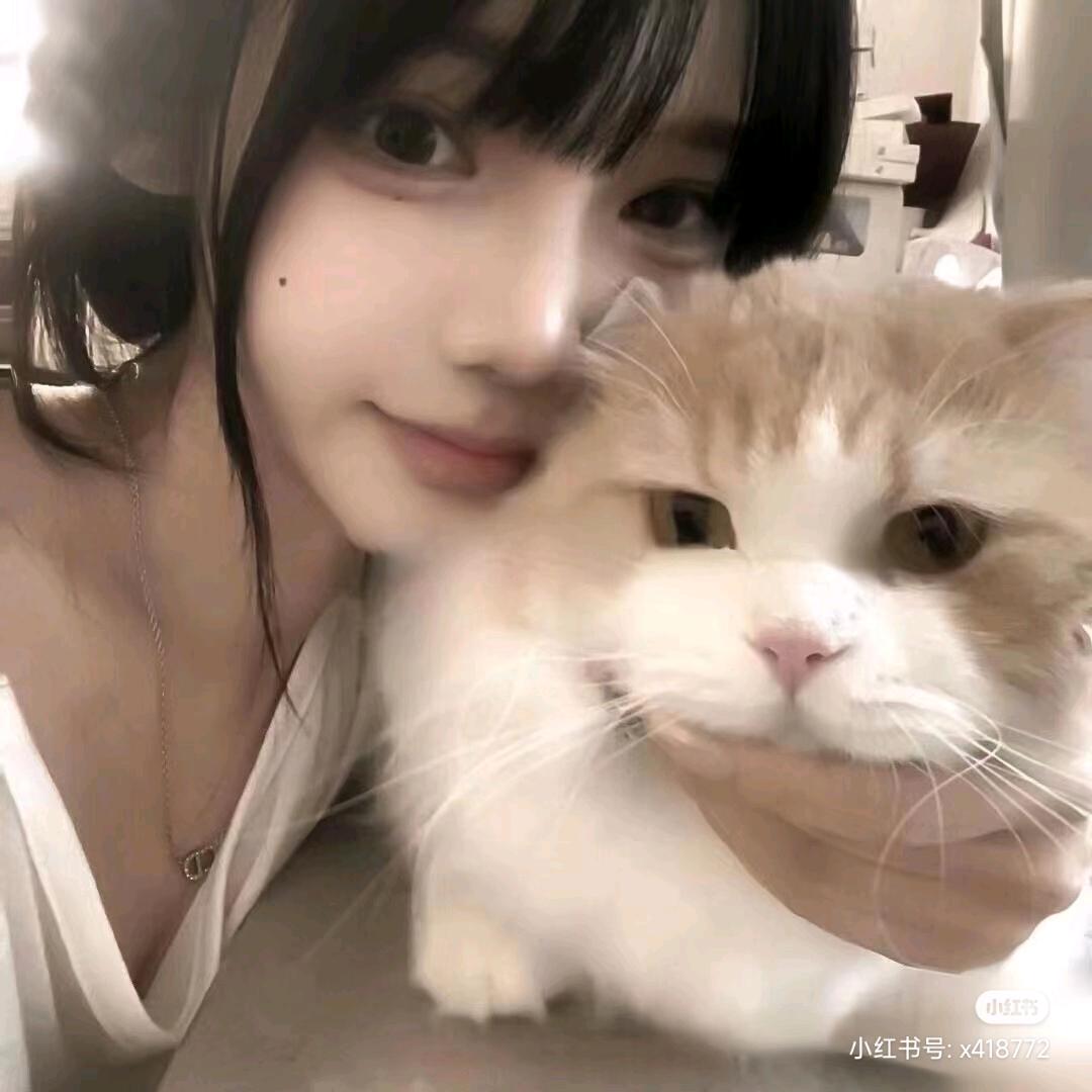 心碎小猫