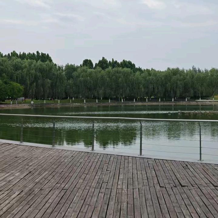 哈咯
