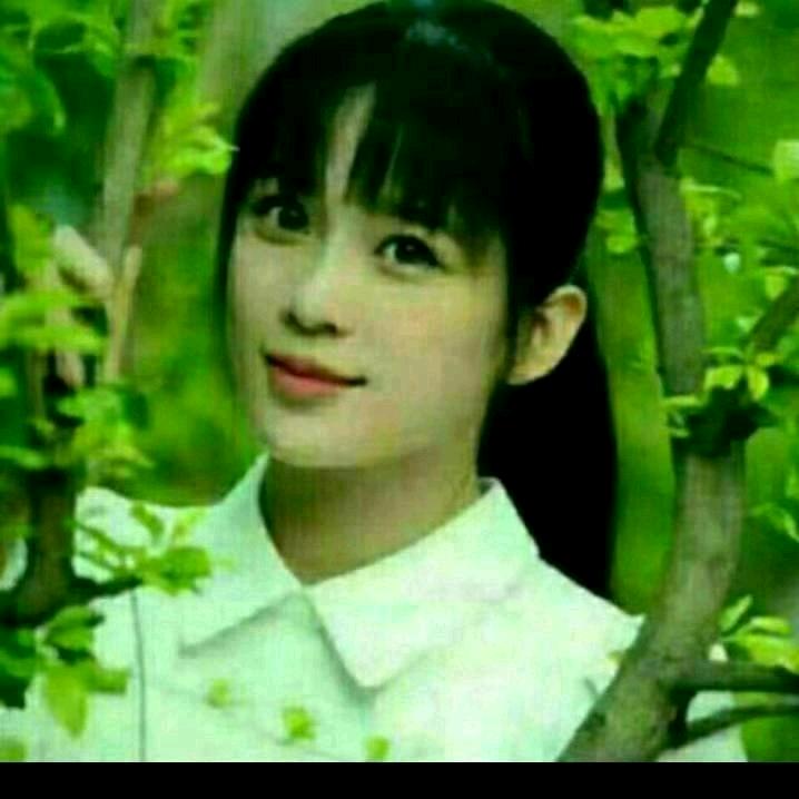 忘掉过去🌹