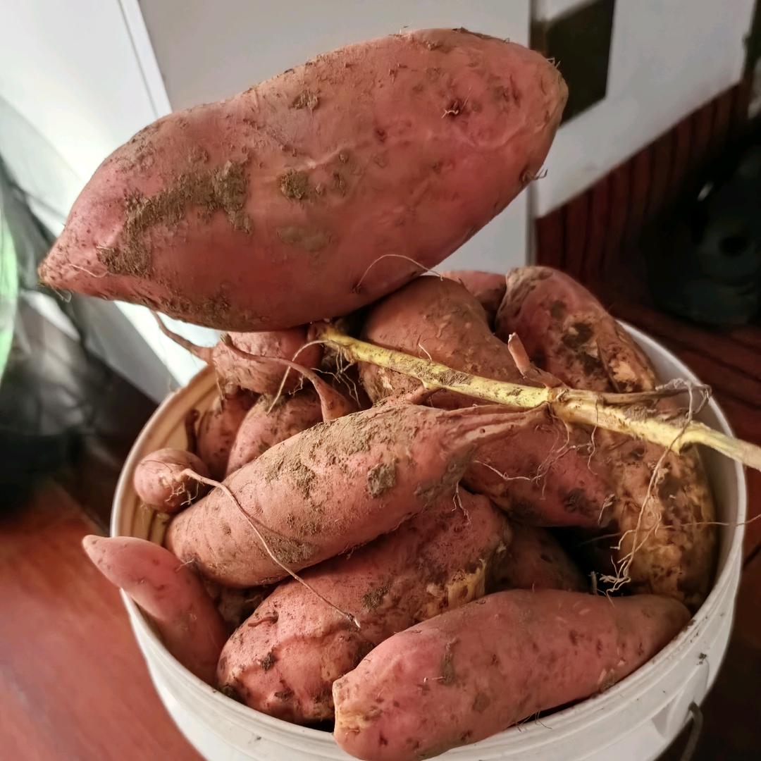 幸福来自知足