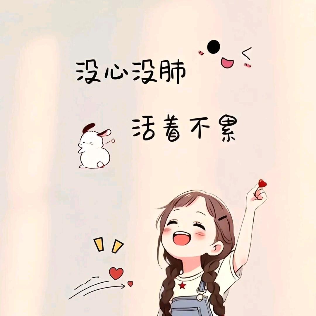 懒猫家V