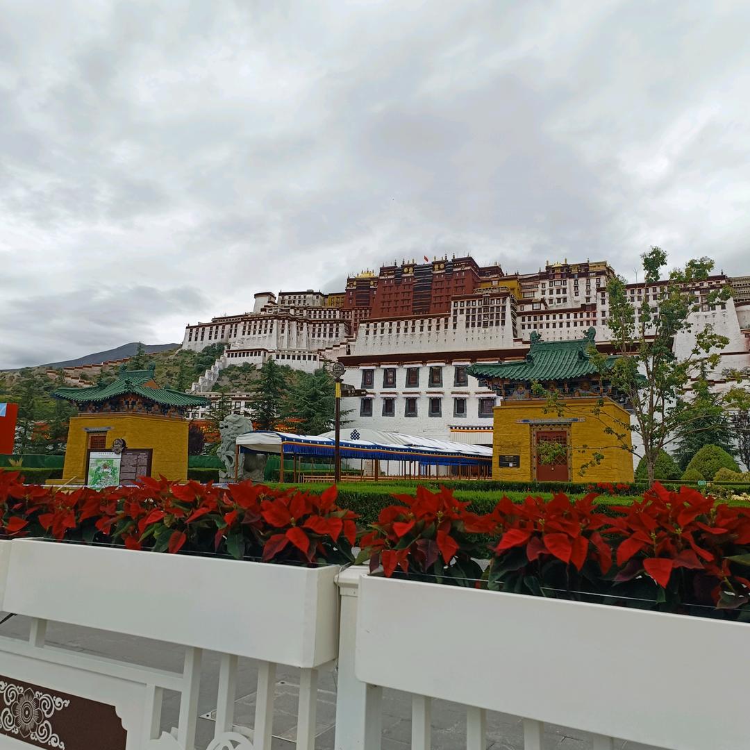 天若有情·天亦老