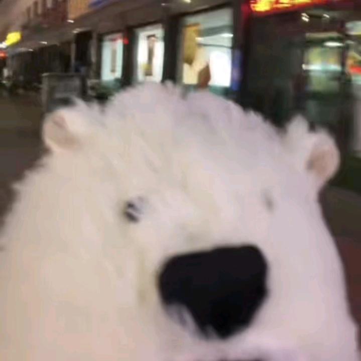 装鱿鱼被人打飞