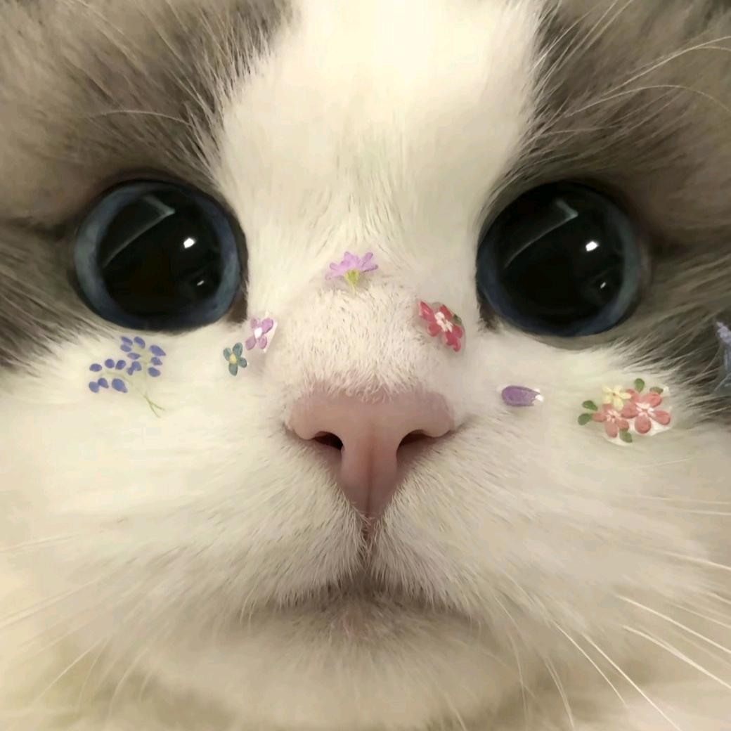 ℛ𝓮𝓭𝓪𝓶𝓪𝓷𝓬𝔂