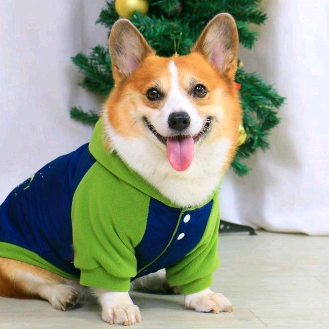 麒麟哥