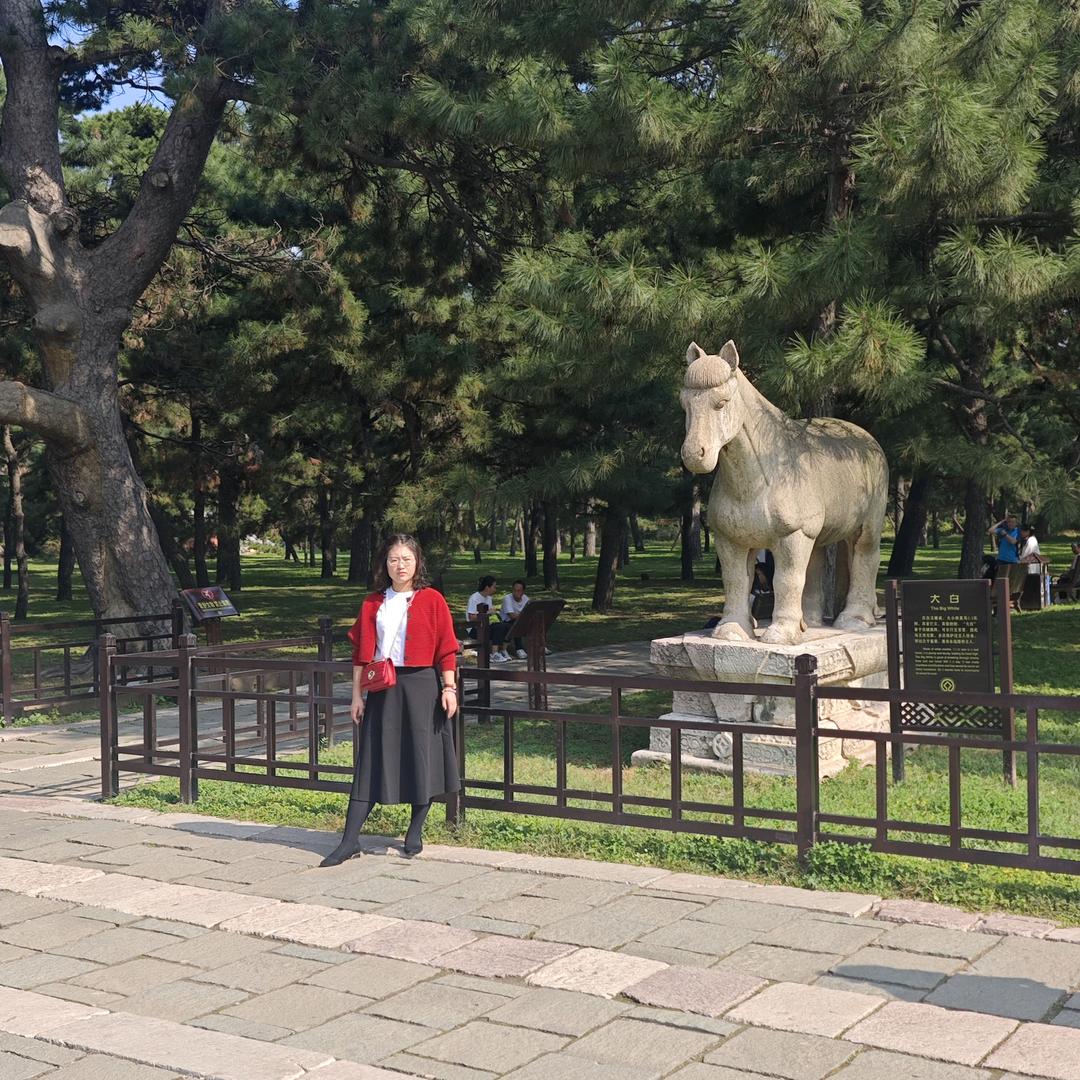 bo了biu bo了biu