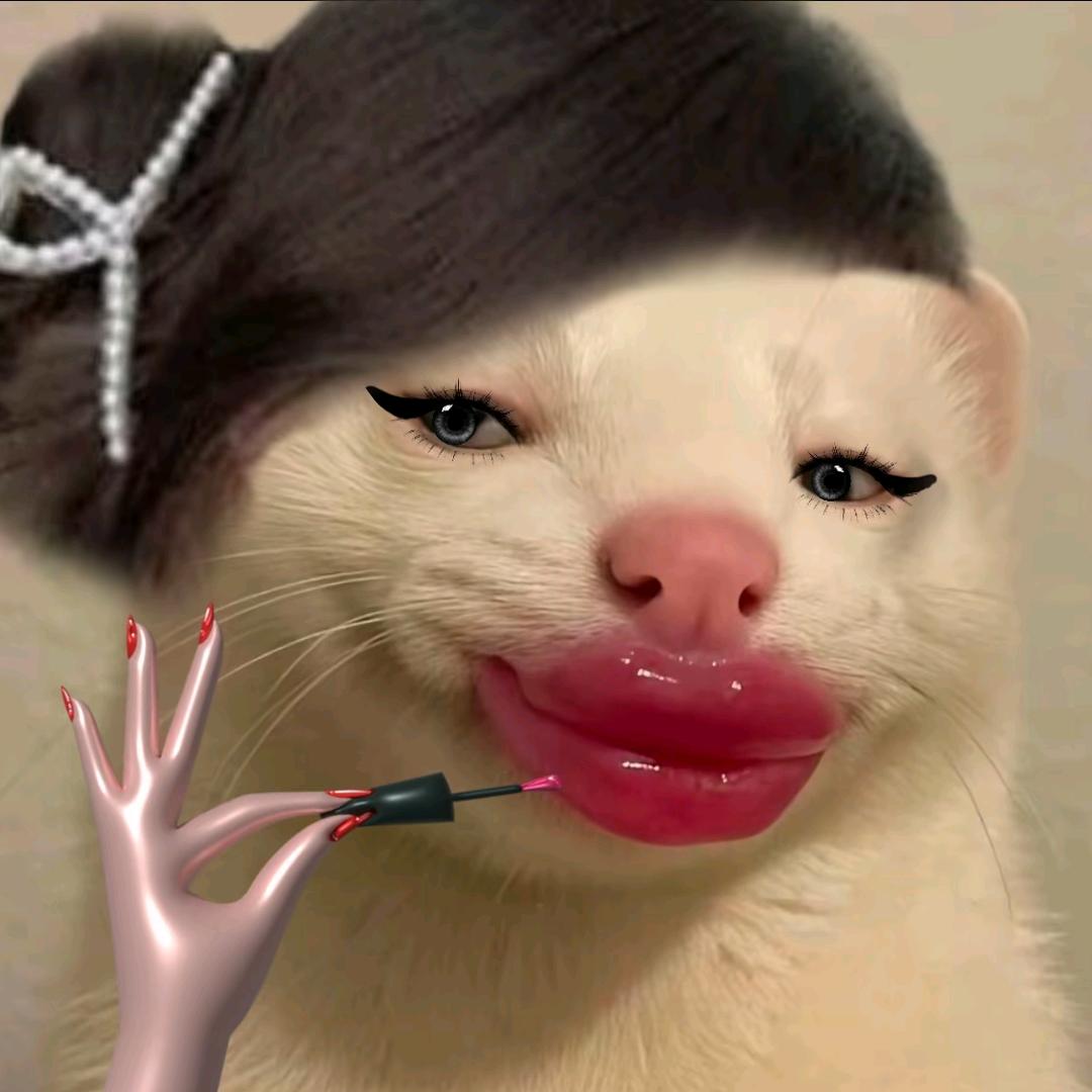 善蕊