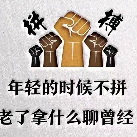 高粱酒，聚奎
