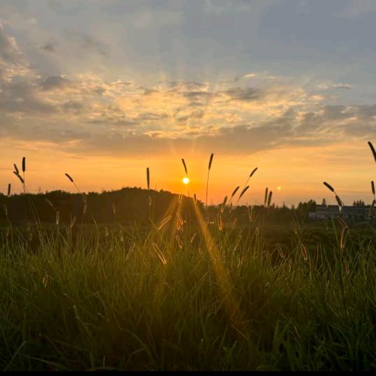 幸福的农村生活