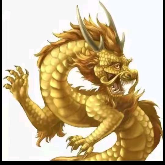 专业画大饼