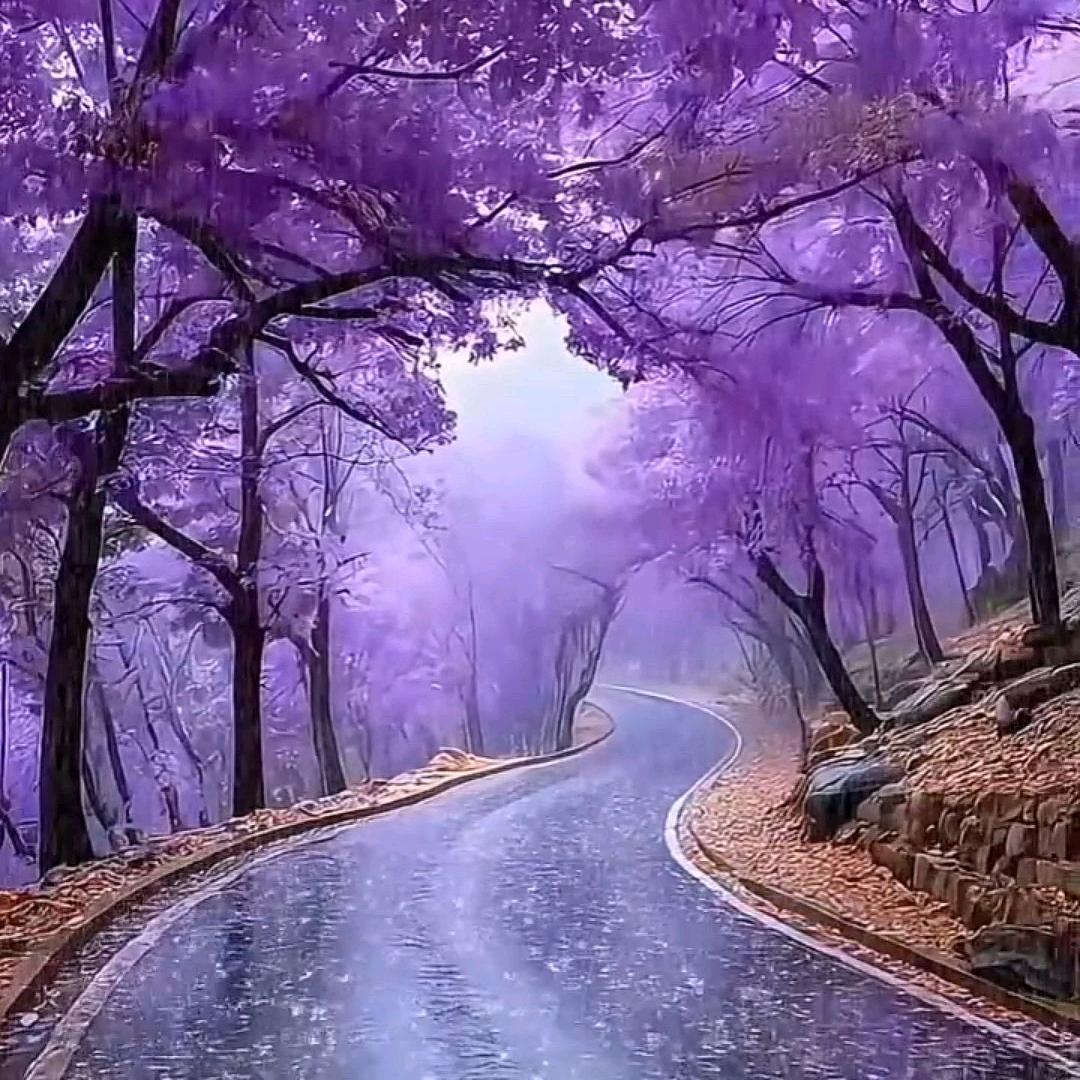 霹雳舞之独孤求败。。。