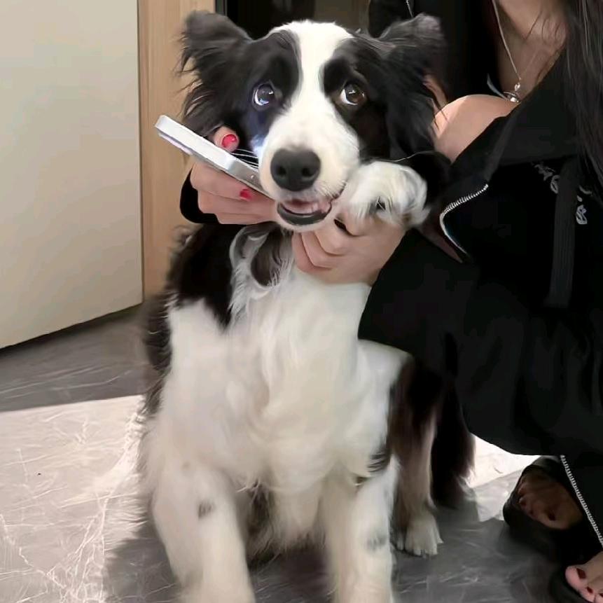 艺术家
