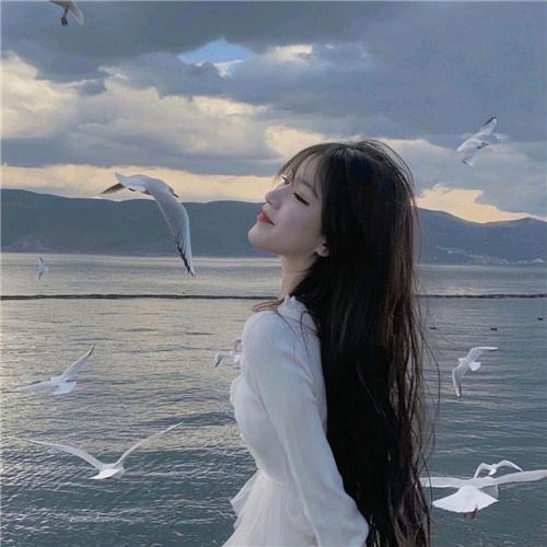 @糖糖(努力熬过低谷期)